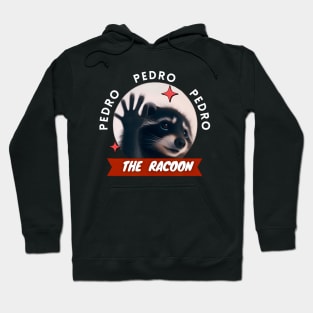 Dancing Racoon Pedro Pedro Dancing Racoon Meme Hoodie